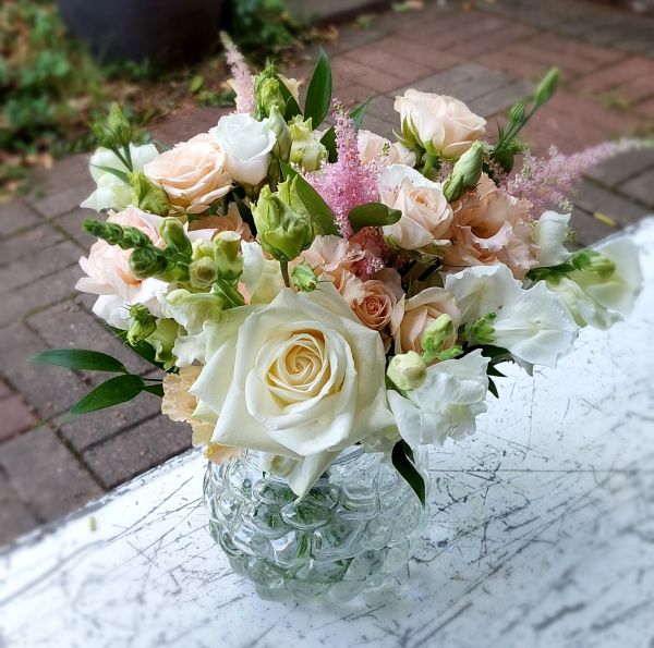 hempe kesinen hkimppu, leijonankitaa