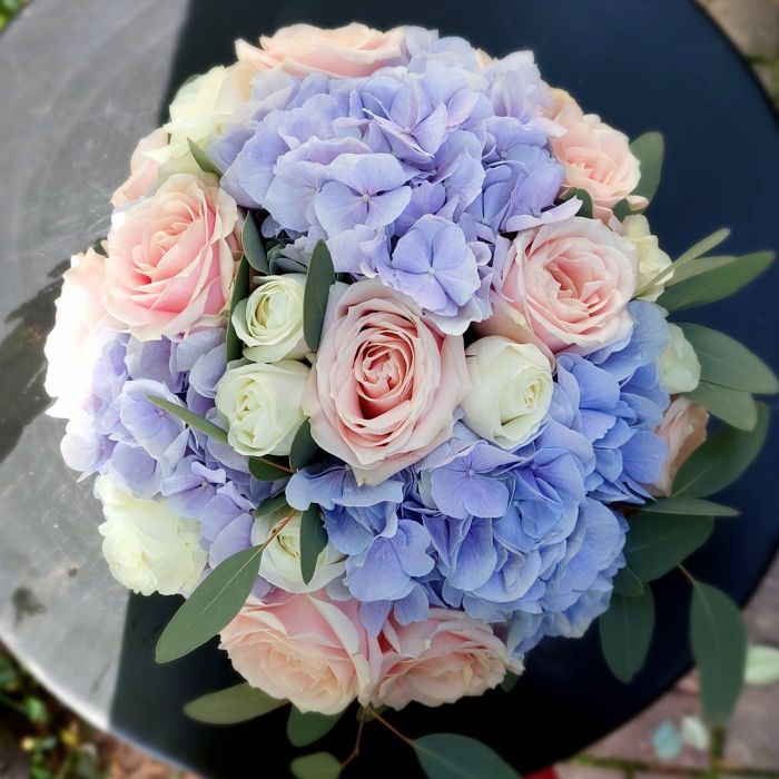 hkimppu sininen hortensia